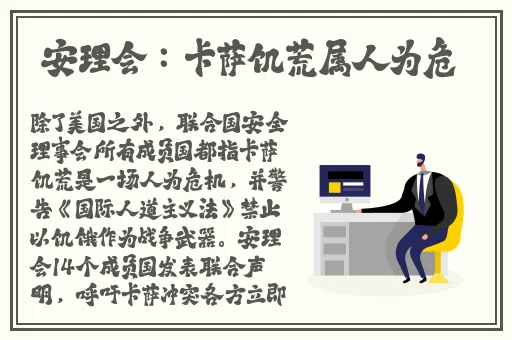 国产精品无码a v
